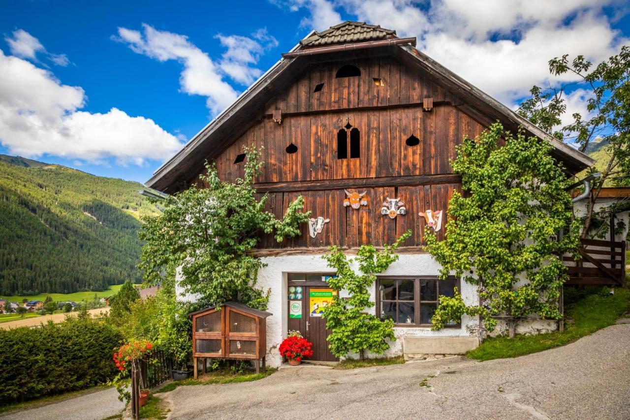 Binderhof Διαμέρισμα Weisspriach Εξωτερικό φωτογραφία