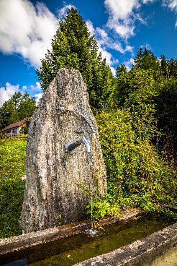 Binderhof Διαμέρισμα Weisspriach Εξωτερικό φωτογραφία