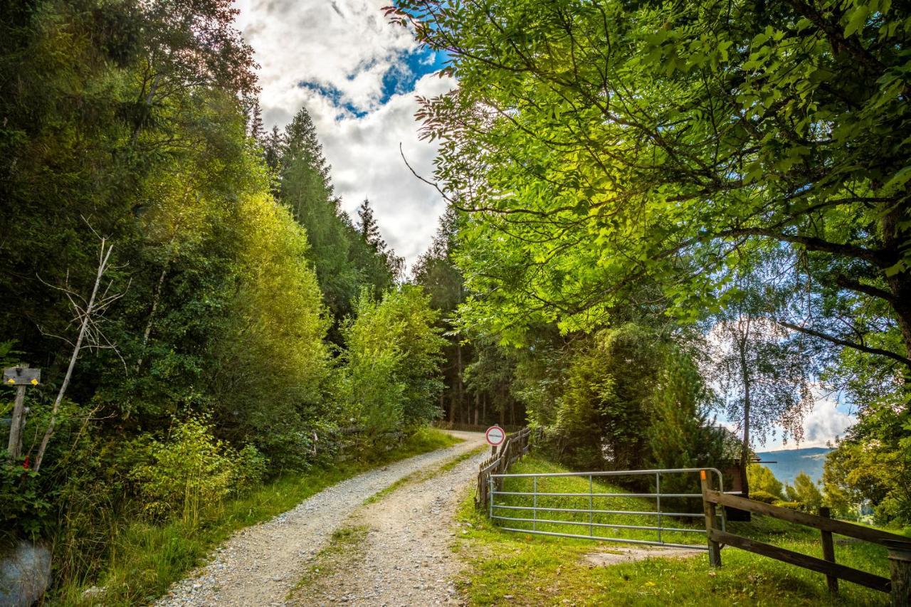 Binderhof Διαμέρισμα Weisspriach Εξωτερικό φωτογραφία